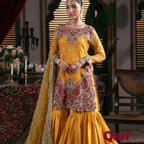 IB-55 Roshni