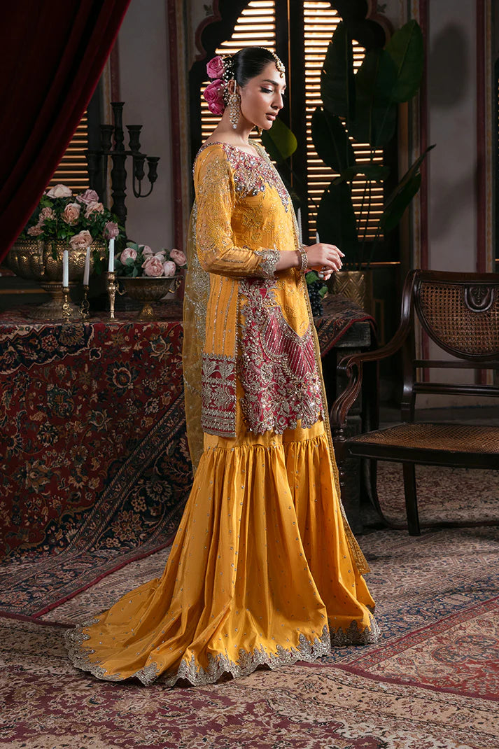 IB-55 Roshni