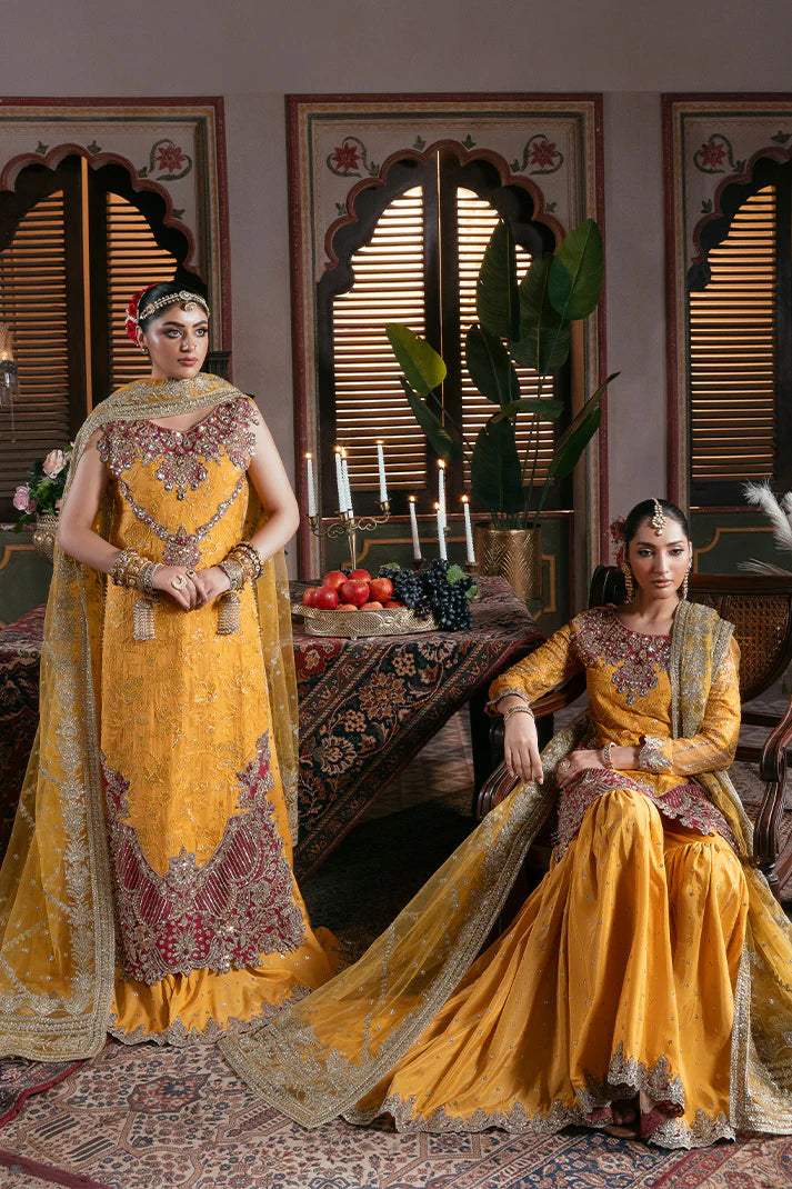 IB-55 Roshni
